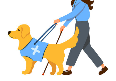 盲人妇女拄着拐杖在导盲犬的带领下行走。金毛猎犬与人类隔离在白色背景卡通风格上。平面设计的海报，横幅，