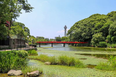 大阪天野寺公园池塘上的青山和红桥