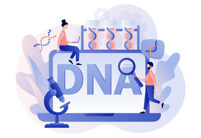 DNA遗传科学。小科学家在实验室用笔记本电脑调查和测试DNA。基因螺旋的迹象。实验室设备。现代扁平卡