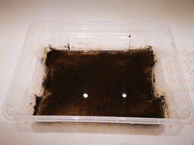 肮脏的水容器