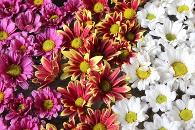 花