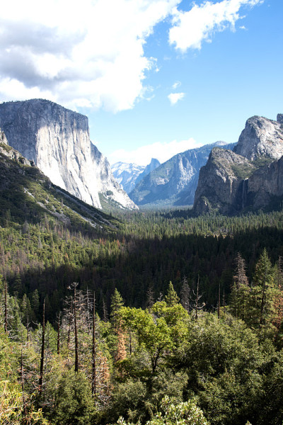 El Capitan和Valley