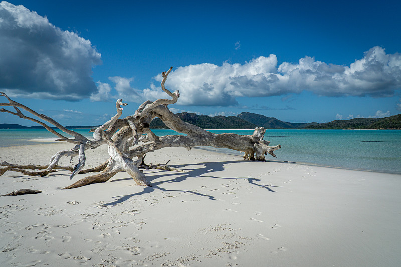 澳大利亚圣灵岛(Whitsunday Islands)的白色沙滩，其中99%是石英砂，还有蔚蓝的大海