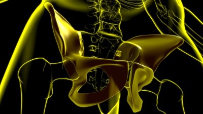 人体骨骼、髋部或骨盆骨解剖医学概念