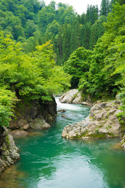 高山流水