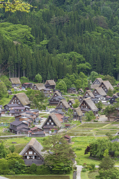 日本田园诗般的乡村景观