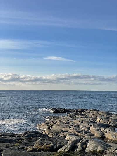 龙虾岛瑞典西海岸