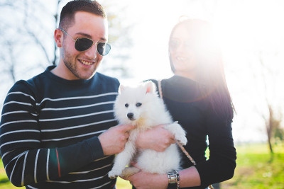 可爱的夫妇和博美犬玩耍