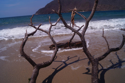 热带海洋