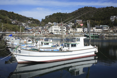 米湾捕鱼