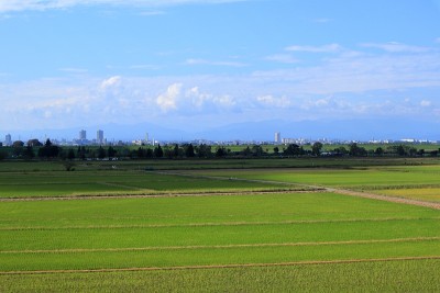 日本埼玉县秋天的天空