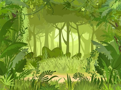 桑迪空地。丛林背景。热带雨林的植物。美丽的绿色景观，异国情调的树木和棕榈树。可爱的卡通风格。向量。