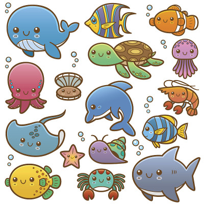 海洋动物