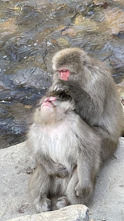 家庭