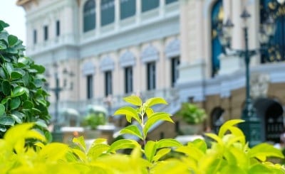 美丽的花园在Chakri Maha Prasat王座大厅泰国