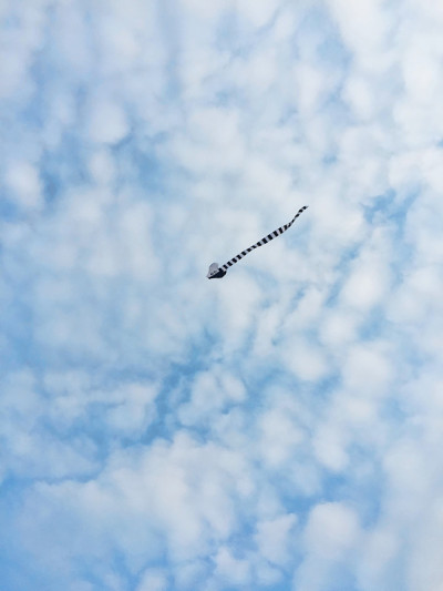 在天空中放风筝