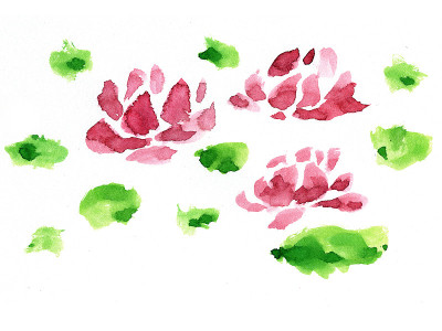 莲花