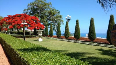 以色列海法的巴海花园有难以形容的美丽。