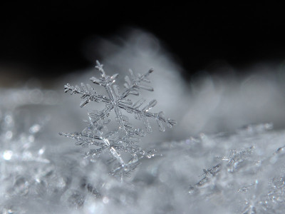 雪花的细节