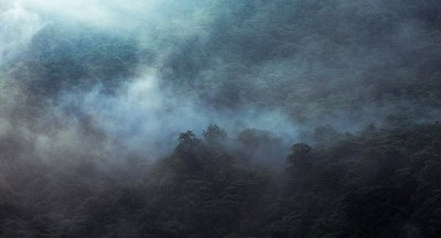 雾围绕山坡