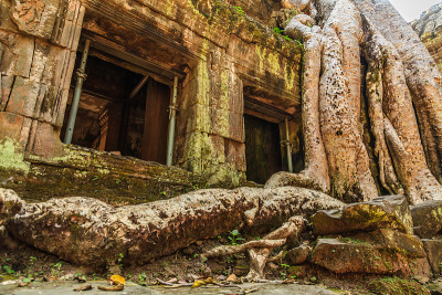 Ta Phrom 城堡，吴哥城，柬埔寨