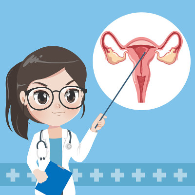 女医生教授子宫。