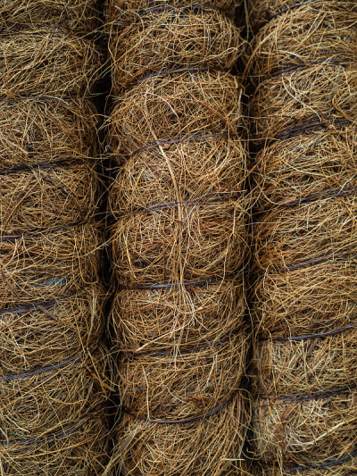 Sticks to support plants. Coconut support to suppo
