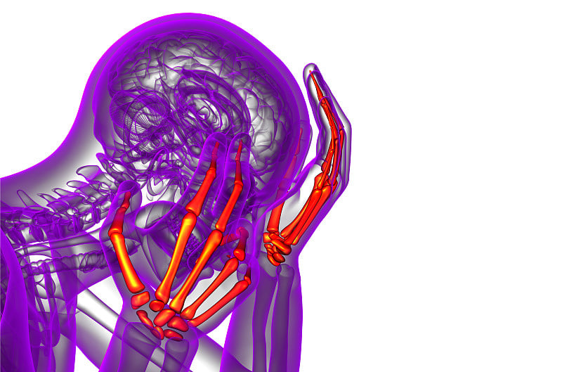 骨骼手的3d渲染图