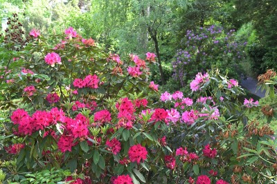 有花坛的宏伟公园