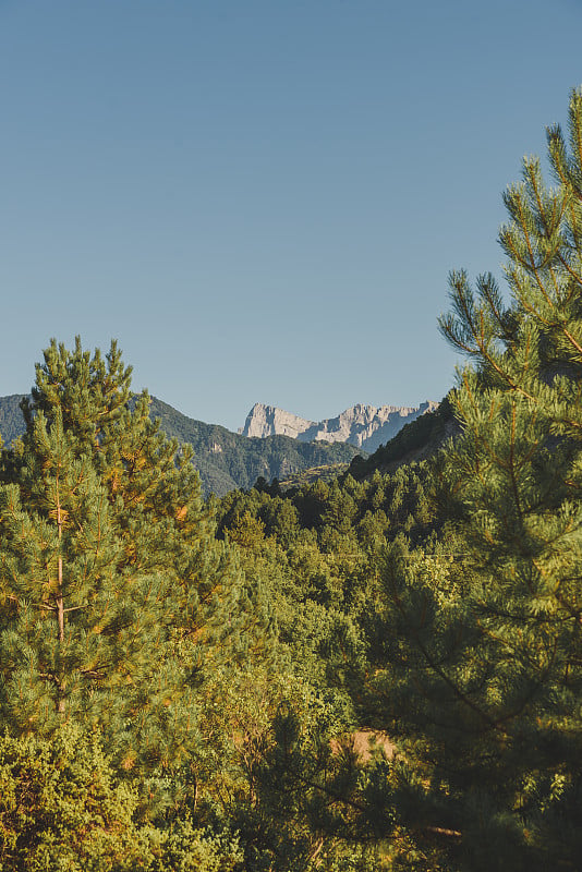 加米拉峰，在泰菲山脉的北面，前景是一片森林