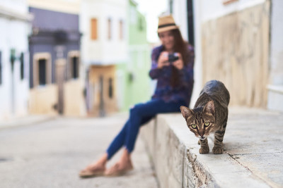 年轻女子正在给猫拍照