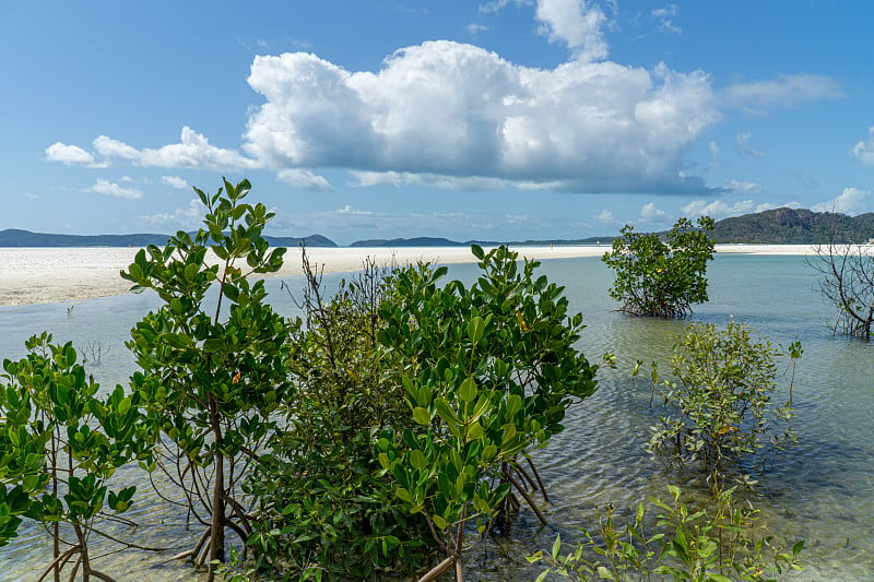 澳大利亚圣灵岛(Whitsunday Islands)的白色沙滩，其中99%是石英砂，还有蔚蓝的大海