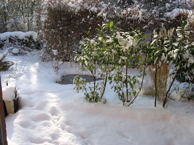 一个阳光明媚的冬日，刚下过雪，花园里有脚印