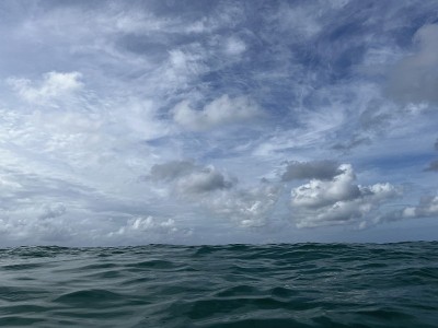 加勒比海