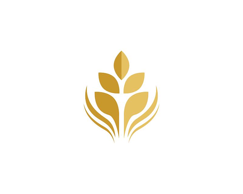 小麦矢量图标插图设计