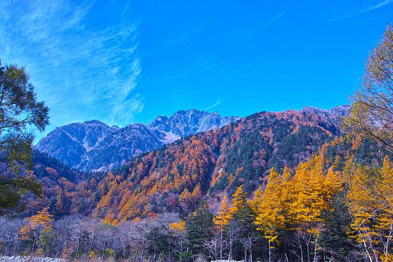 秋上高内，横古附近的景色