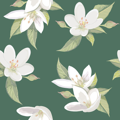 白色的花朵