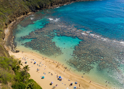 鸟瞰图哈瑙马湾自然保护区在瓦胡岛，夏威夷