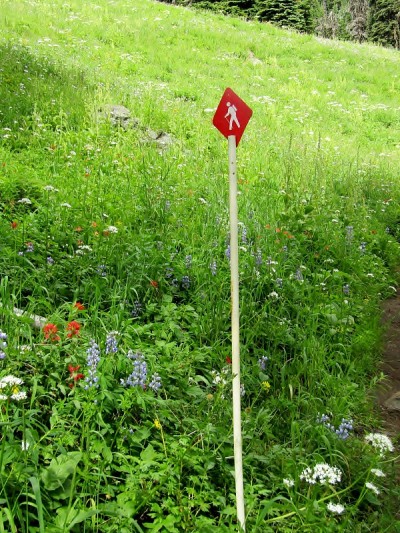 加拿大BC省太阳峰村附近的Tod山徒步旅行路线上的徒步路标。