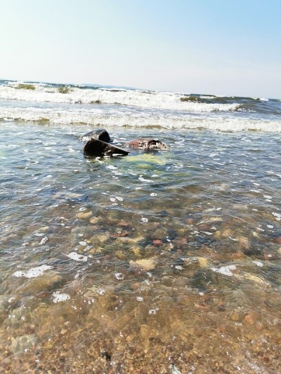 海滩