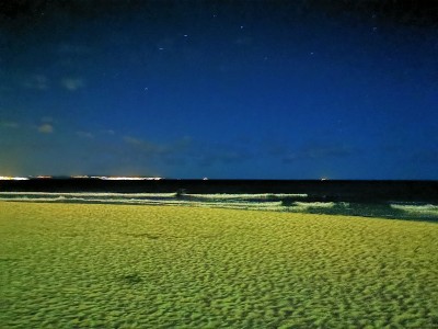 Binz夜间