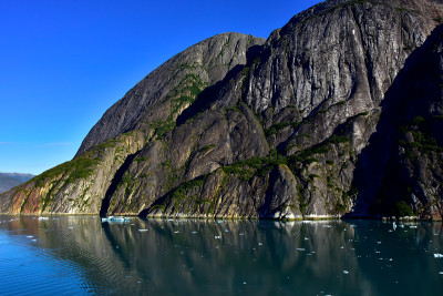 特蕾西·阿姆峡湾中漂浮的冰山。