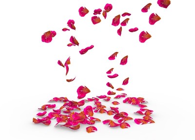 玫瑰花瓣飘落到地板上