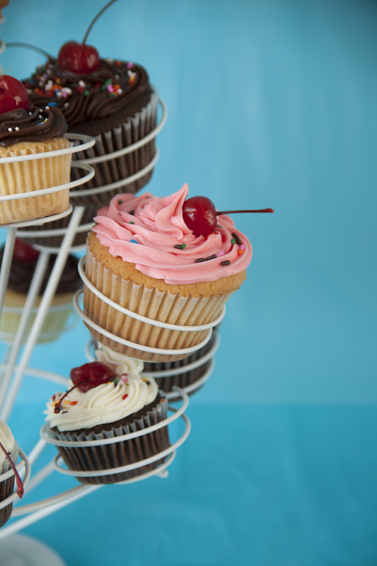 Assorted Cupcakes on Display