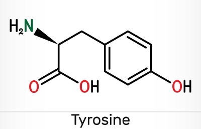 酪氨酸，l -酪氨酸，Tyr, C9H11NO3氨基酸分子。它参与蛋白质合成，是儿茶酚胺、甲状腺素、