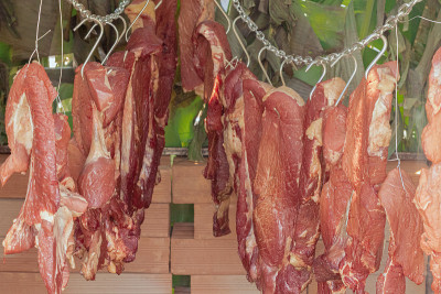 Picanha，传统的巴西烧烤，晾在晾衣绳上，上面覆盖着烤架上的叶子