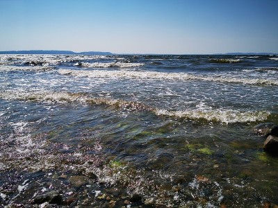 海滩