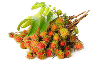 rambutam