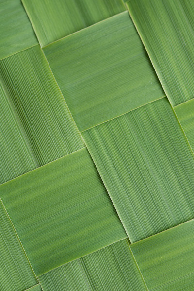 近对角线图案编织的草叶