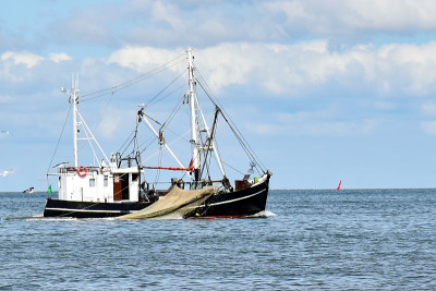 在北弗里斯兰(德国)附近的北海捕鱼Büsum